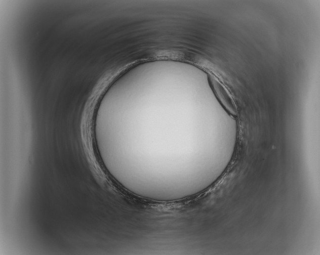 X0000102270241200808081447