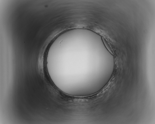 X0000102270242200808081447