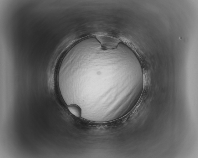 X0000102270243200808081447