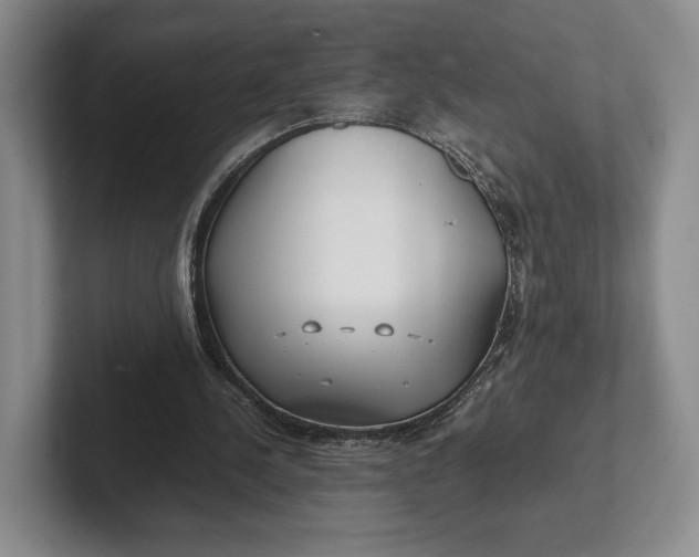 X0000102270244200808081447