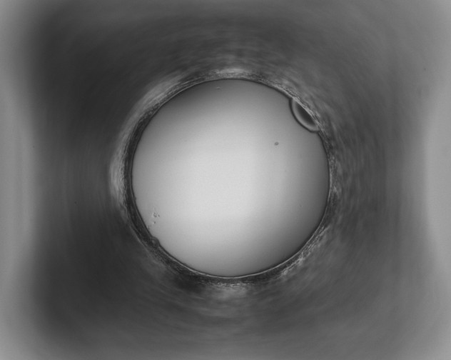 X0000102270245200808081447