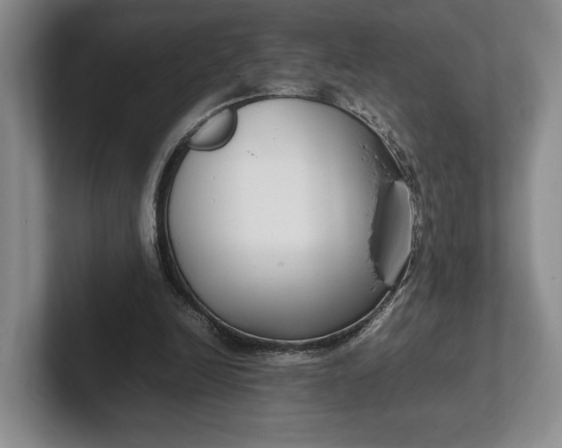 X0000102270246200808081447