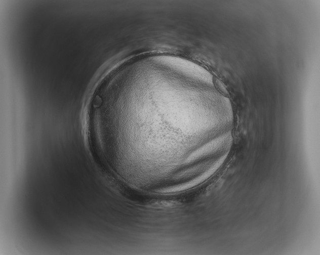 X0000102270247200808081447