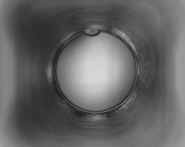 X0000102270249200808081447