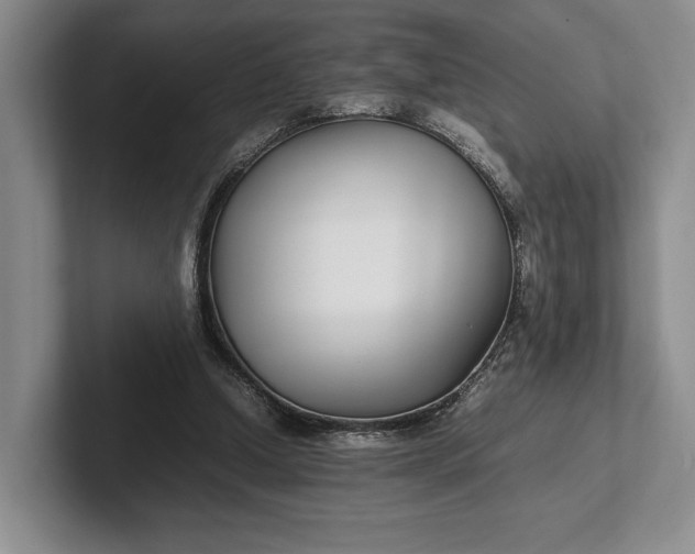 X0000102270250200808081447