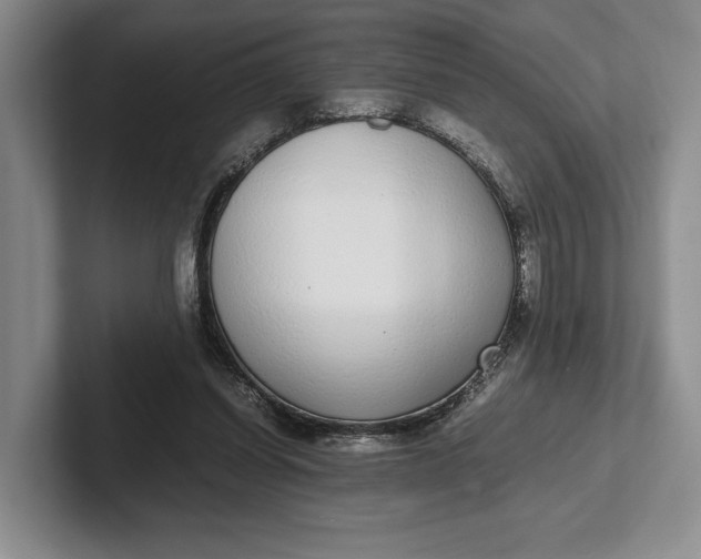 X0000102270254200808081447