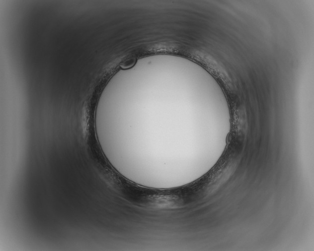 X0000102270255200808081447