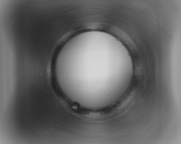 X0000102270256200808081447