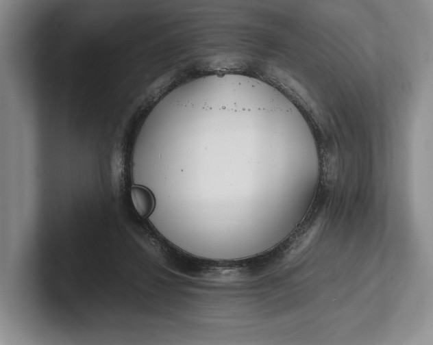 X0000102270260200808081447