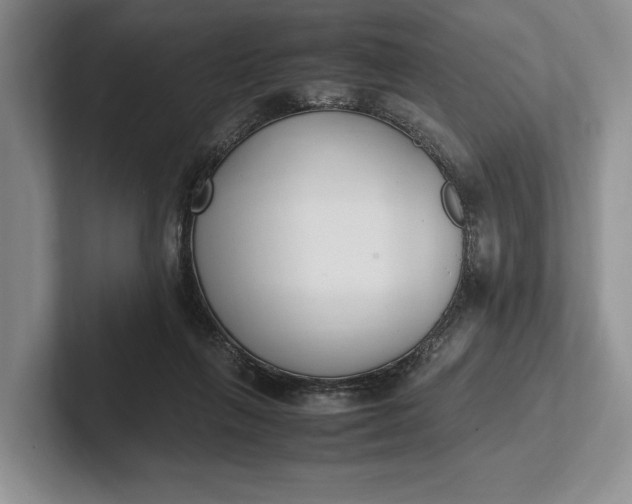 X0000102270263200808081447