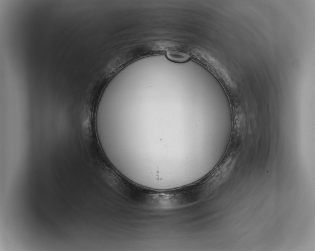 X0000102270265200808081447