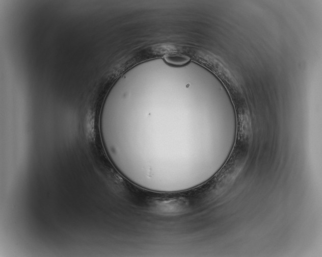 X0000102270267200808081447