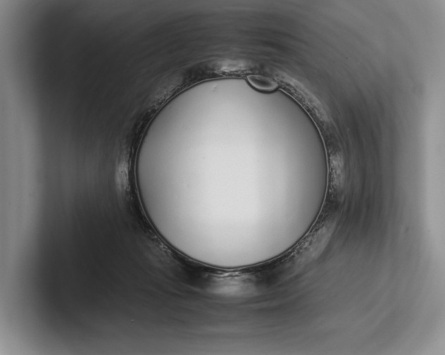 X0000102270269200808081447