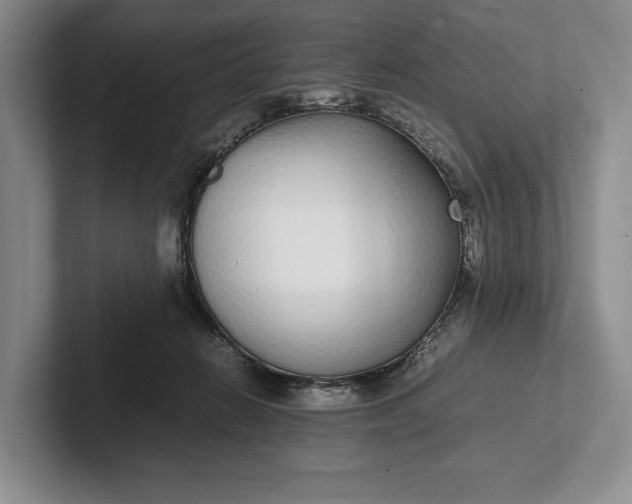 X0000102270270200808081447