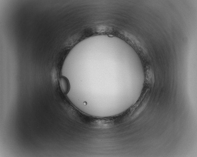 X0000102270272200808081447