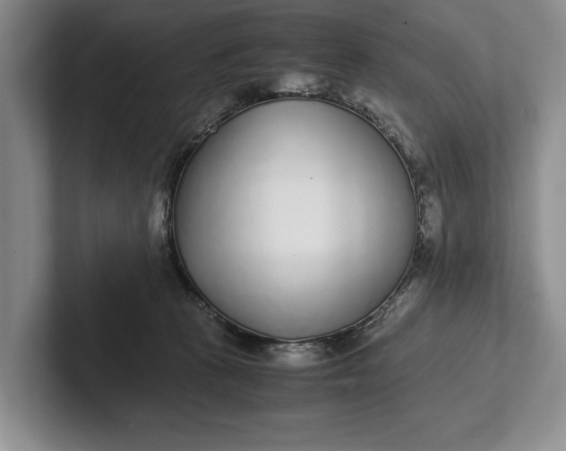 X0000102270273200808081447