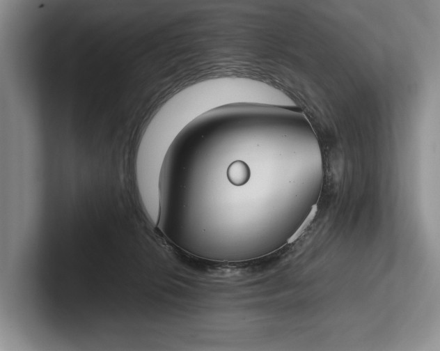 X0000102270276200808081447