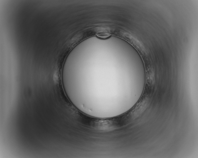 X0000102270277200808081447