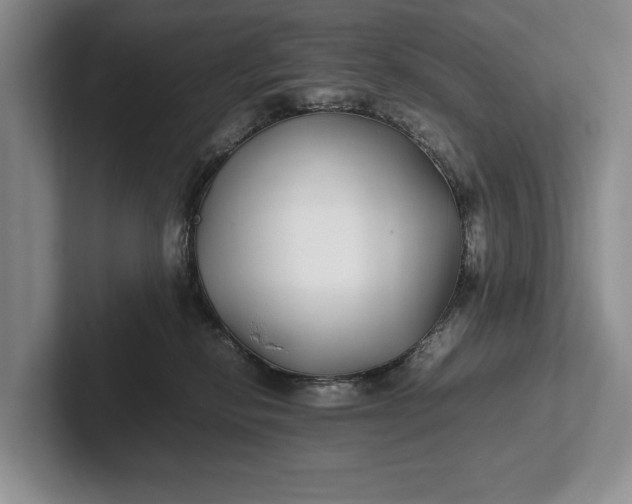 X0000102270278200808081447