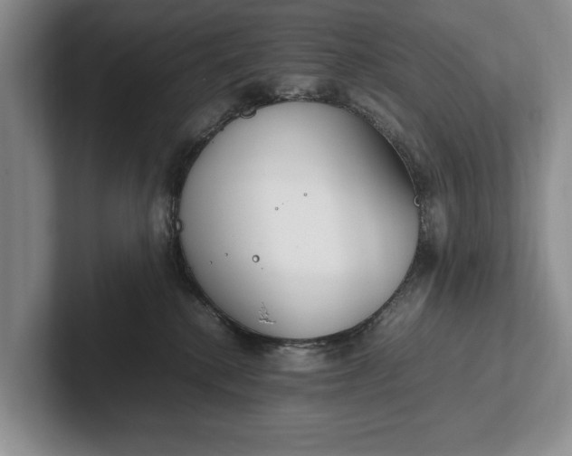 X0000102270280200808081447