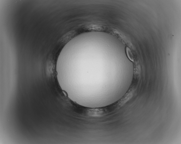 X0000102270281200808081447