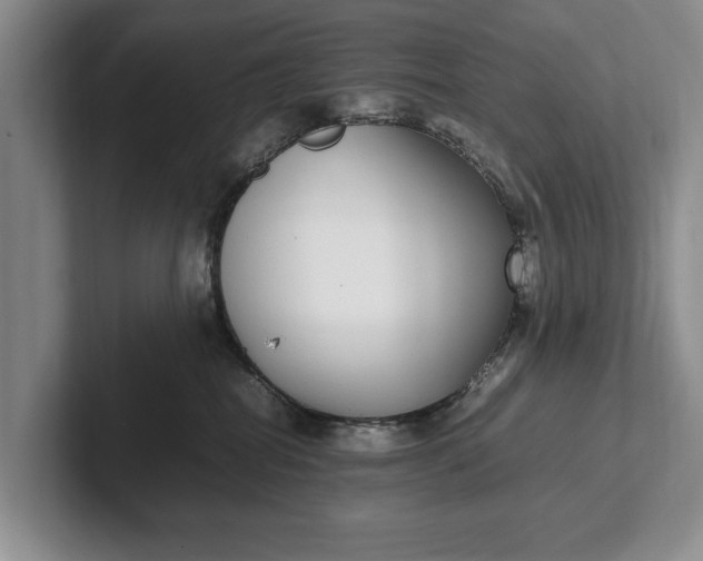 X0000102270282200808081447