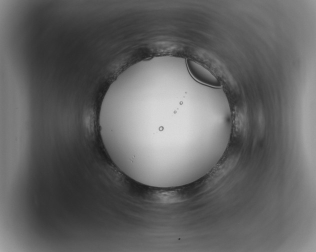 X0000102270283200808081447