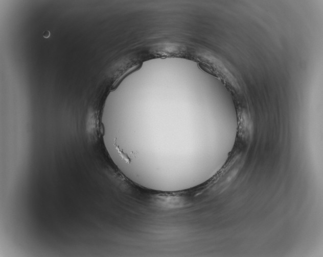 X0000102270284200808081447