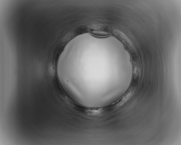 X0000102270285200808081447