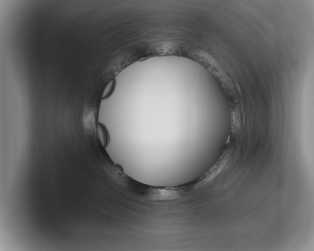 X0000102270286200808081447