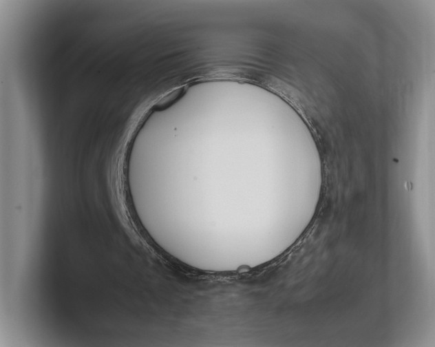 X0000102270289200808081447