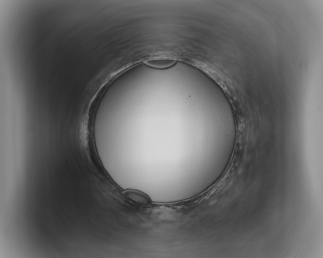 X0000102270290200808081447