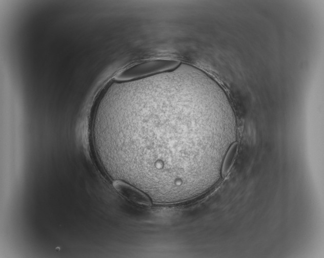 X0000102270293200808081446