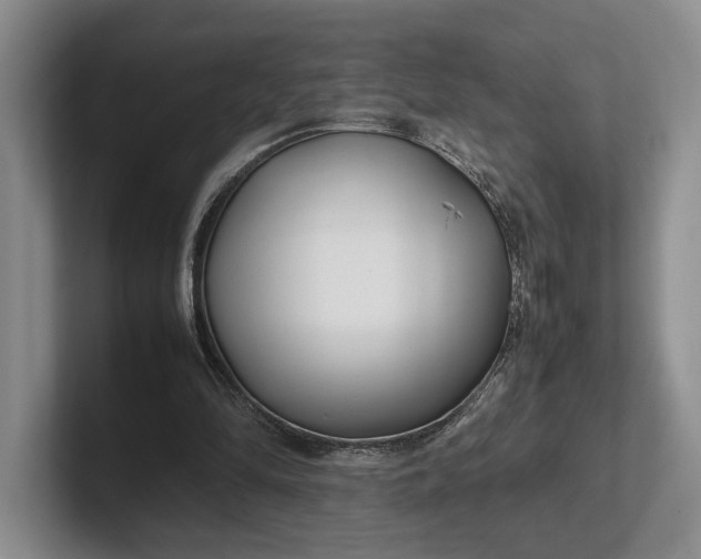 X0000102270294200808081446