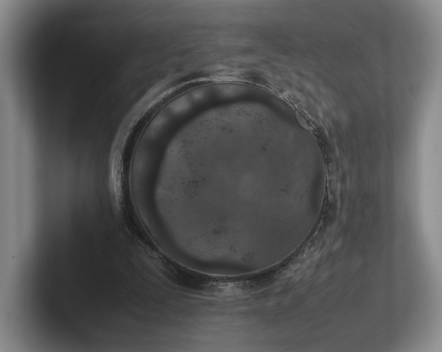 X0000102270295200808081446