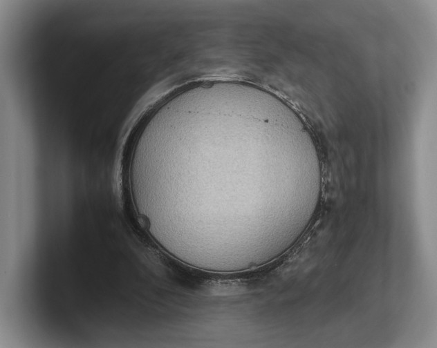 X0000102270296200808081446