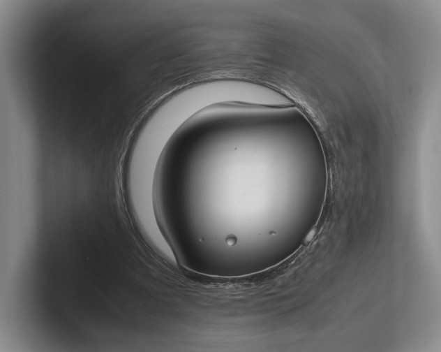 X0000102270297200808081446