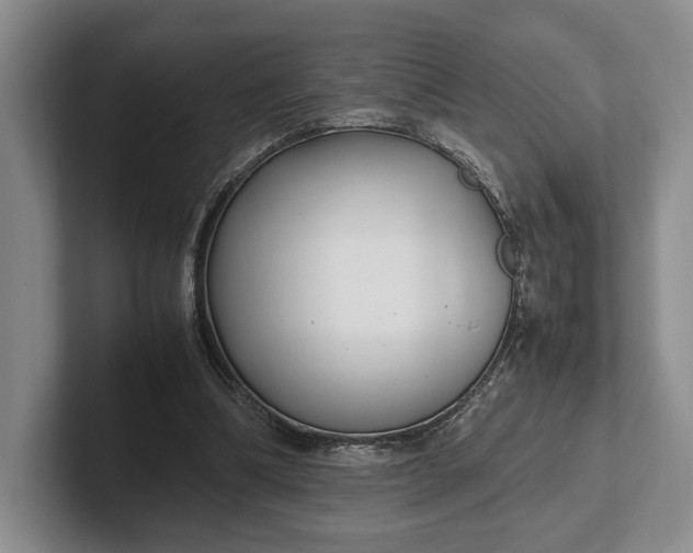 X0000102270298200808081446