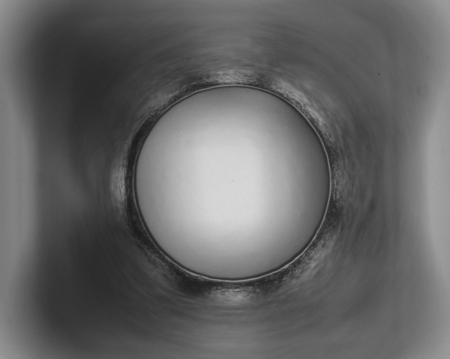 X0000102270299200808081446