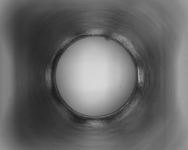 X0000102270300200808081446