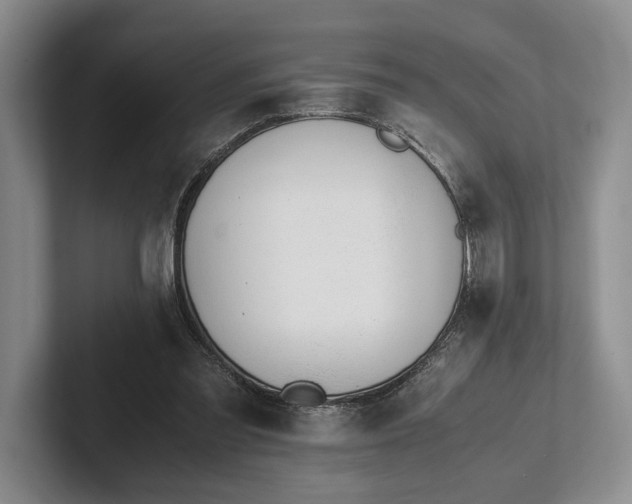 X0000102270301200808081446