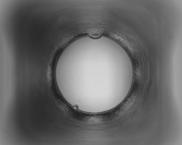 X0000102270303200808081446