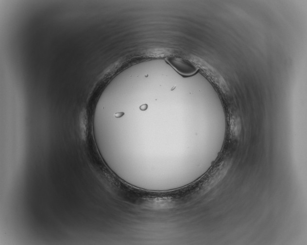 X0000102270304200808081446