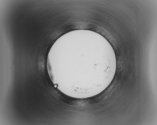 X0000102270305200808081446