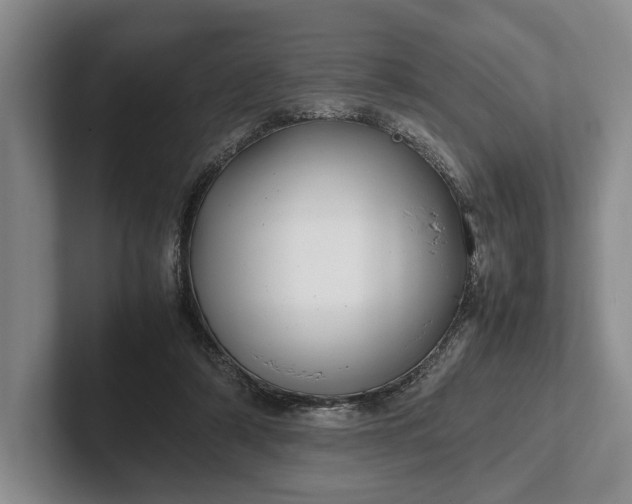 X0000102270306200808081446