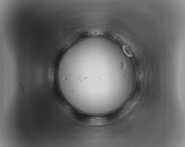 X0000102270315200808081446