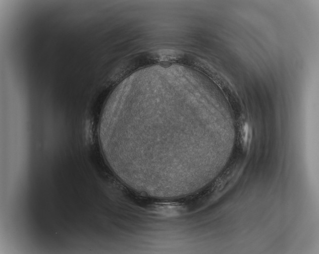 X0000102270316200808081446