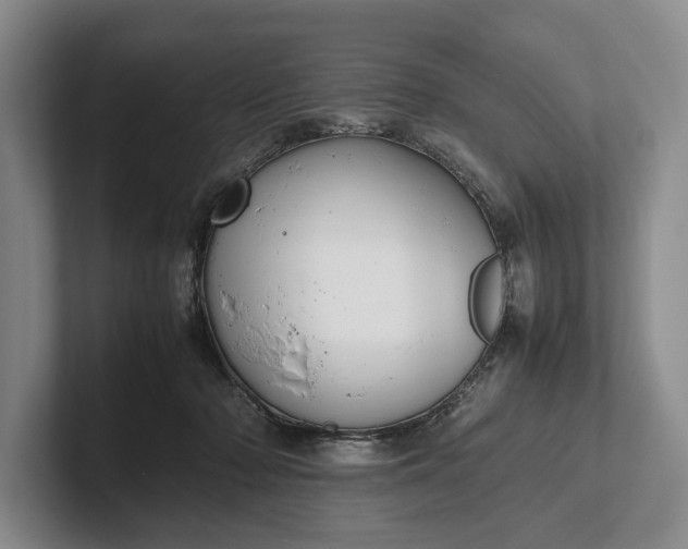 X0000102270318200808081446