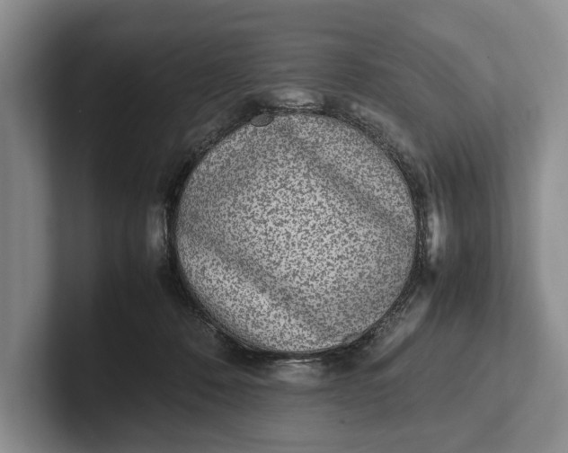 X0000102270320200808081446