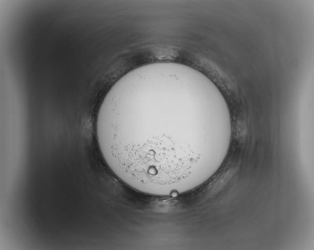 X0000102270321200808081446